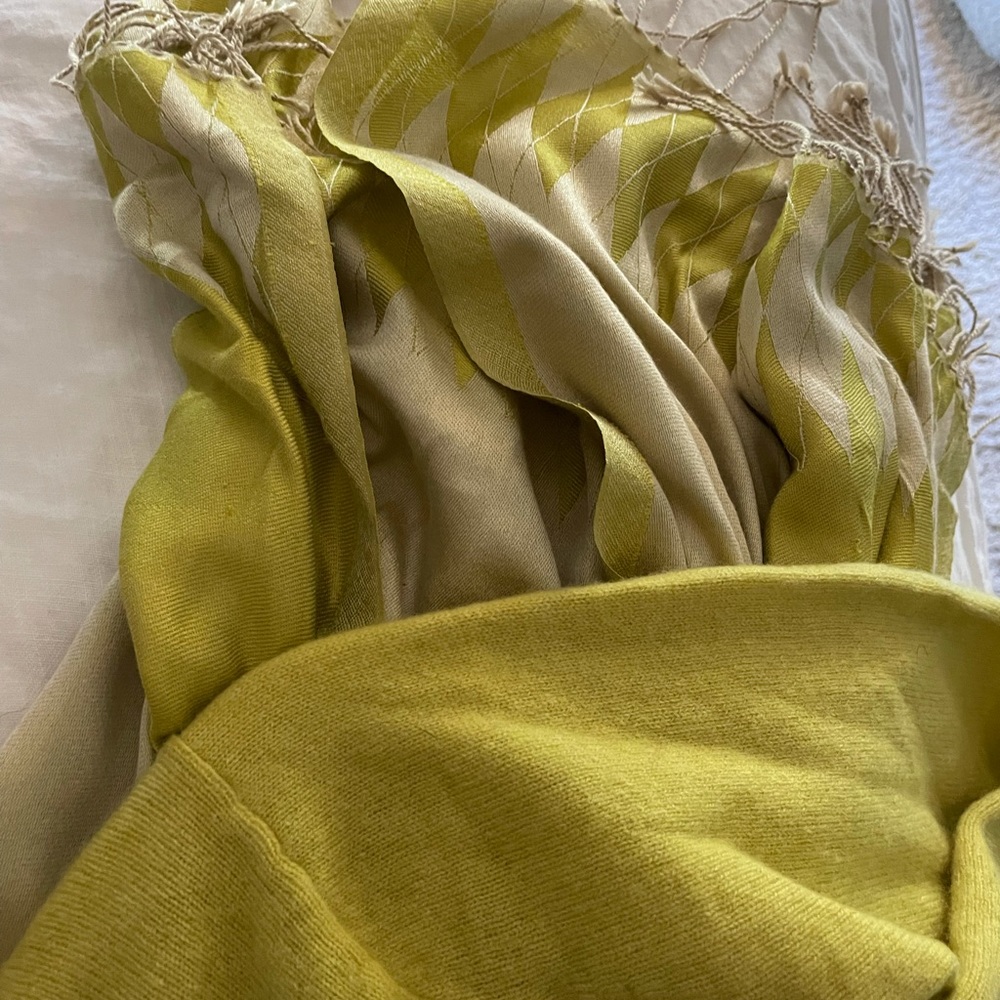 Magnificent silk scarf ONLY.